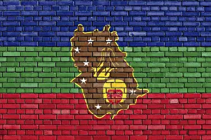 Painted Brick Wall Designs Prints: Flag of Amazonas State painted on brick wall