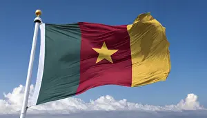 Central Africa Flag Prints: The flag of Cameroon, fluttering in the wind