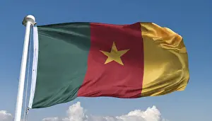 Isolated National Colors Prints: The flag of Cameroon, fluttering in the wind