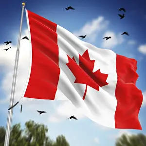 Computer Generated Image Prints: Flag of Canada, This is a computer generated and 3d rendered image
