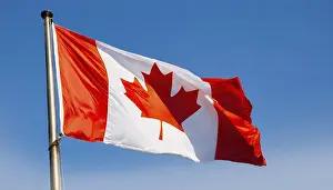 Isolated Flag Image Prints: The flag of Canada flutters in the wind