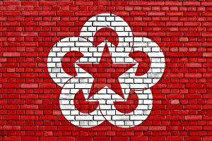 Painted Brick Designs Prints: Flag of Comecon painted on brick wall