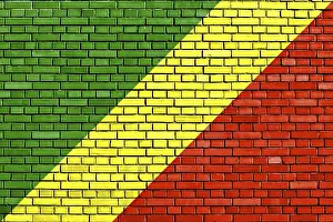 Congo Flag Prints: Flag of Congo painted on brick wall
