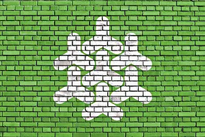 Painted Brick Wall Prints: Flag of Dronten painted on brick wall