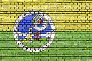 Hungarian Flag On Brick Wall Prints: Flag of Fejer County painted on brick wall
