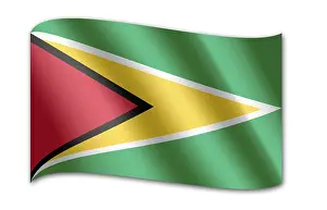 National Colors Symbol Prints: Flag of Guyana