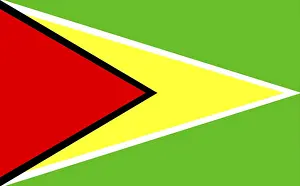 Symbolic National Emblem Prints: Flag of Guyana