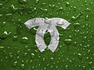 Asian National Symbols Prints: Flag of Kobe with rain drops