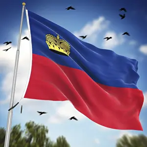 Framed Print : 3D Rendered Print of the Flag of Liechtenstein Framed Print : 3D Rendered Print of the Flag of Liechtenstein