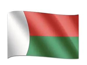 East Africa State Flags Prints: Flag of Madagascar