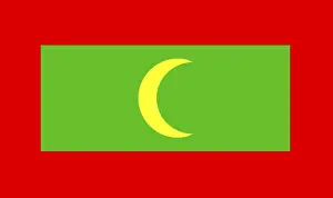 Asian National Emblem Prints: Flag of Maldives