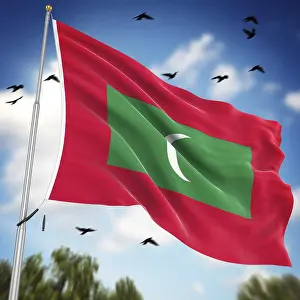Related Prints: Computer Generated 3D Rendered Print of the Maldives Flag