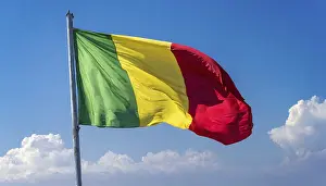 Isolated National Emblems Prints: The flag of Mali, fluttering in the wind