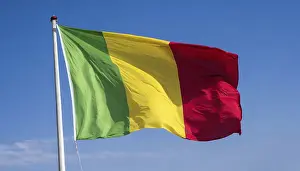 Blue Sky With Flag Prints: The flag of Mali, fluttering in the wind
