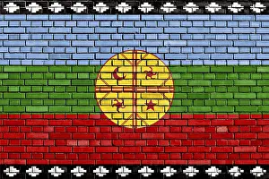 Textured Brick Wall Design Prints: Flag of Mapuche painted on brick wall