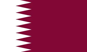 Qatar Prints: Qatar Flag Print