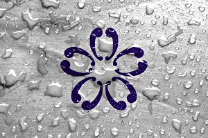 Japanese National Symbol Prints: Flag of Sakura with rain drops