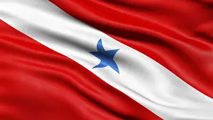 Brazilian National Symbol Prints: Flag of the State of Para