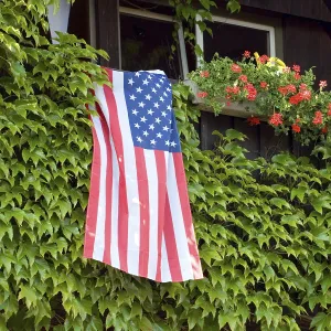 Friendship Between Nations Prints: Flag of the USA