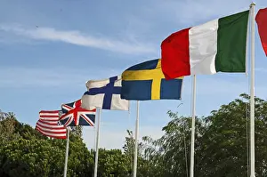 Colorful Flags Prints: Flaggs