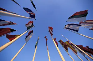 State Flag Design Prints: Flags