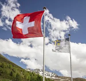 Motion Blur In Europe Prints: Flags in the wind, wiping effect