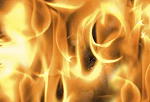 Firewood Burning Prints: Flames
