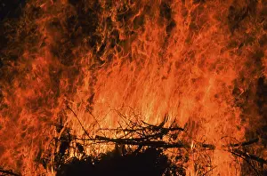 Deserted Fire Scene Prints: Flames of a large fire, blaze