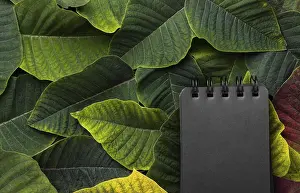 Flat Lay Composition Prints: Flat lay composition leaves with black notepad