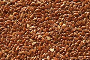 Healthy Eating Patterns Prints: Flaxseed