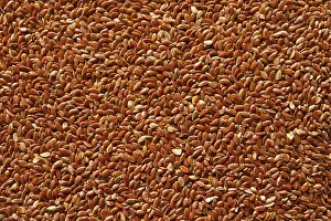 Balanced Diet Grocery Shopping Prints: Flaxseed