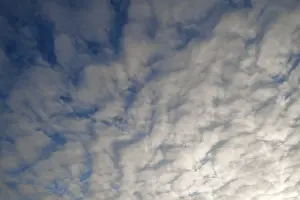 Fleecy Cloud Formations Prints: Fleecy clouds, altocumulus, Germany