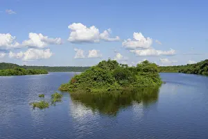 Tropical Rainforest Scenery Prints: Flooded forest on the Abacaxis river