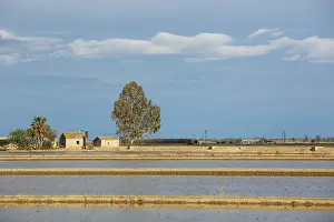 Spanish Countryside Prints: Flooded rice fields and farmstead