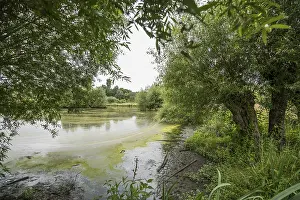 Floodplain Landscape Prints: Floodplain landscape of the Erft