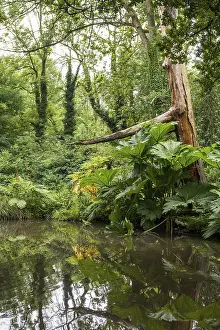 Floodplain Landscape Prints: Floodplain landscape of the Erft