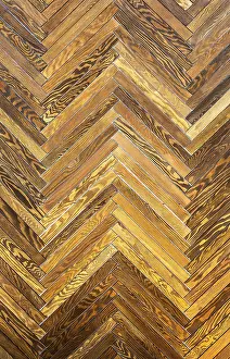 Deciduous Tree Background Image Prints: Floorboard as a creative background
