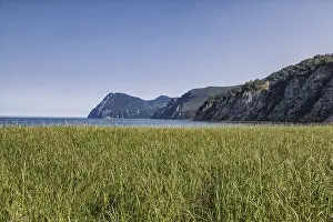 European Countryside Views Prints: Flora of Kamchatka. Forests and fields
