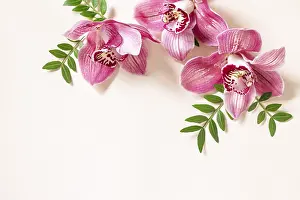 Floral Arrangement Prints: Floral background with orchids