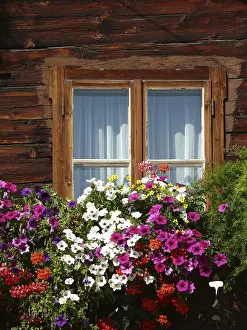 Deserted Farmhouse Prints: Flower balcony