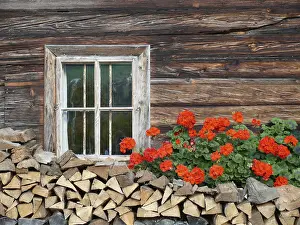 Deserted Farmyard Scene Prints: Flower window