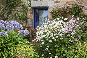 Deserted Garden In Europe Prints: Flowerbed in front of a rustic house with blue window