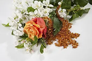 Isolated Flower Arrangement Prints: Flowers and fabric on a studio background