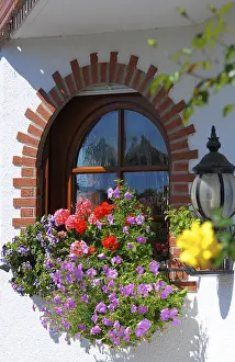 Southern Germany Architecture Prints: Flowers at the window