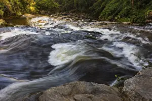 Southeast Asia Nature Reserve Prints: Flowing stream of the Mae Ya River