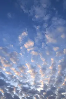 Evening Sky Photography Prints: Fluffy clouds, altocumulus clouds