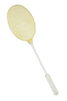 Studio Background Photos Prints: Fly swatter