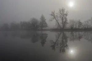 Monochromatic Winter Landscape Prints: Fog, bare trees reflected in the river