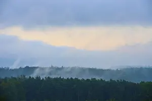 Autumn In Bavaria Germany Prints: Fog over a dense forest at dawn