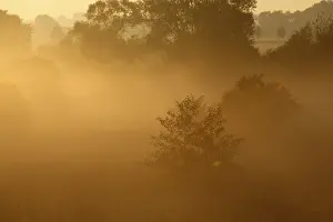 Central European Nature Scenery Prints: Fog over the meadows against the light